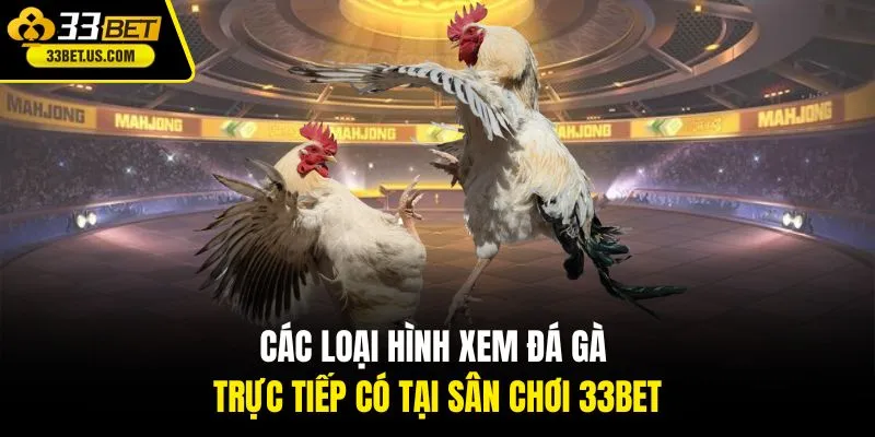 Các loại hình xem đá gà trực tiếp có tại sân chơi 33Bet