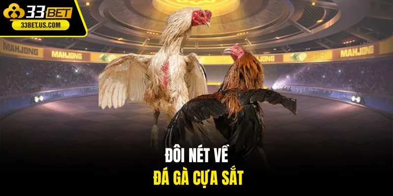 Đôi nét về đá gà cựa sắt