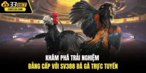 SV388 đá gà