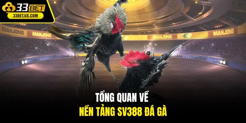 Tổng quan về nền tảng SV388 đá gà
